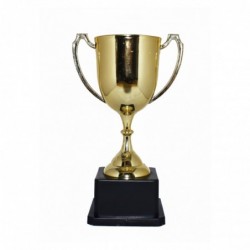 COPA TROFEO DORADO 20X11CM